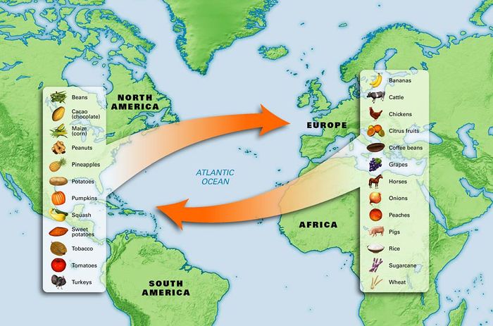 A snapshot of the Columbian Exchange.